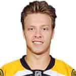 D. Pastrnak